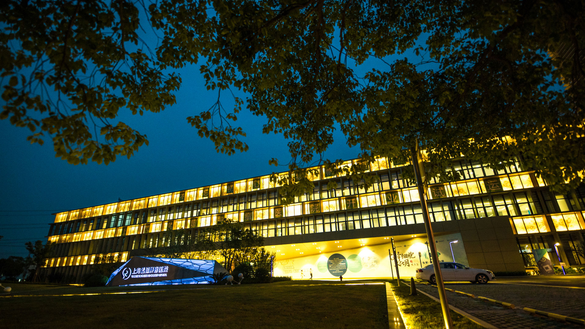 上海大學附屬孟超腫瘤醫院項目banner圖片