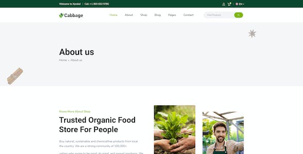 在競爭激烈的市場中脫穎而出：電商網站建設成功之道